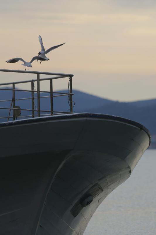 Predvečerje u Zadru 6. ožujka 2014.  Foto: Filip Brala/PIXSELL