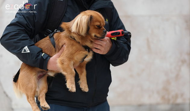 Đir po gradu, četvrtak 4. studenog 2021.