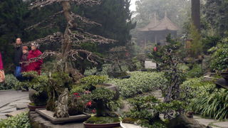 Putovanje u Kinu i Tibet (Foto:Iva Bur