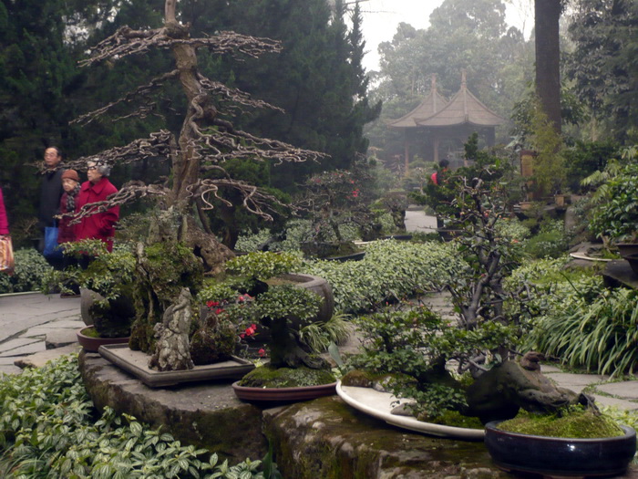 Putovanje u Kinu i Tibet (Foto:Iva Bur