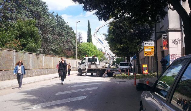 Stjepana Radića, Nasadi, šišanje