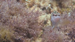 OLYMPUS DIGITAL CAMERA OLYMPUS DIGITAL CAMERA