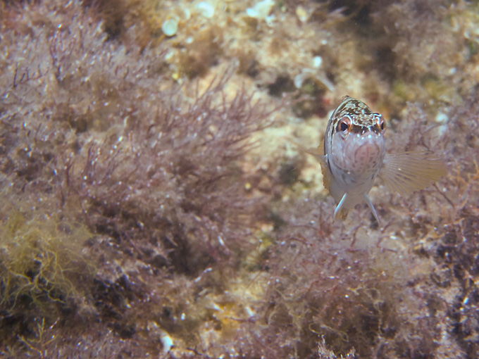 OLYMPUS DIGITAL CAMERA OLYMPUS DIGITAL CAMERA