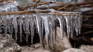 Zimska idila u Parku prirode Vransko jezero Zimska idila u Parku prirode Vransko jezero