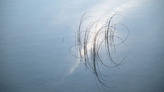 Čarobno jutro na Vranskom jezeru Čarobno jutro na Vranskom jezeru