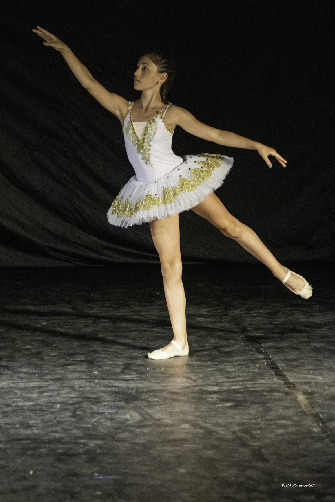 Gesta obilježila dvadeset godina djelovanja Gesta obilježila dvadeset godina djelovanja