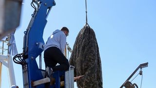 Ekološka manifestacija “Uz more, za more: zelena misija za održivu budućnost Hrvatske” održala se danas na plivarici Škoda koja je jutros u 11 sati isplovila iz zadarske luke Gaženica prema Ugljanu gdje će se provela akcija izvlačenja odbačenih ribarskih Ekološka manifestacija “Uz more, za more: zelena misija za održivu budućnost Hrvatske” održala se danas na plivarici Škoda koja je jutros u 11 sati isplovila iz zadarske luke Gaženica prema Ugljanu gdje će se provela akcija izvlačenja odbačenih ribarskih