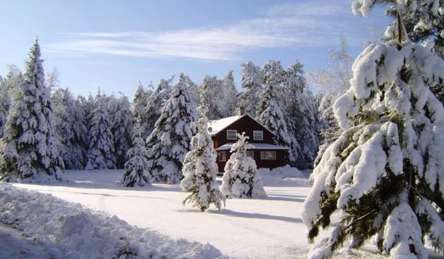 Bijeli Božić (Foto: 2heads2eyes.com)