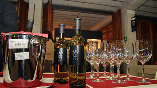 Arsenal – 4. Gastro Dani u Zadru