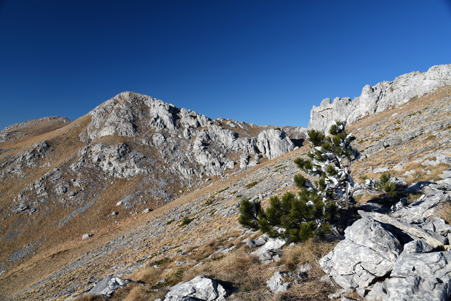 Od Velikog Rujna, preko Rujanske kose do Višerujna…