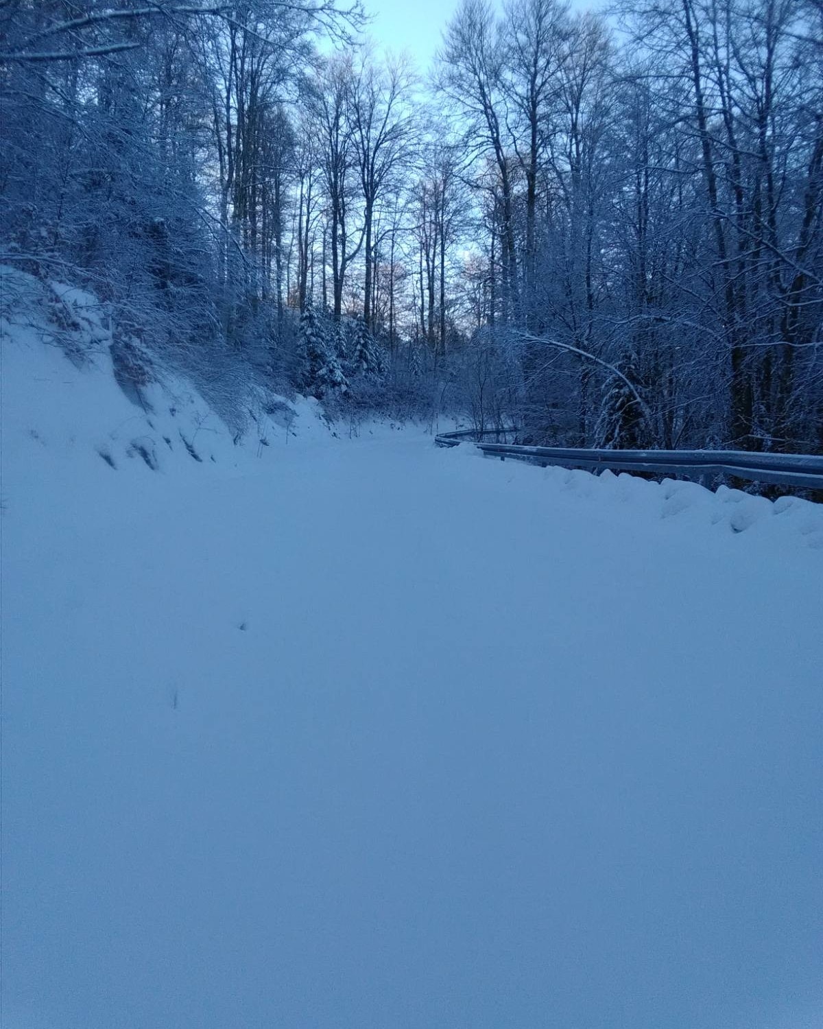 Novi snježni pokrivač u NP Sjeverni Velebit, do Babić Siče samo pješice!