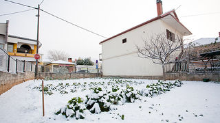 Snijeg u Bibinjama 3. veljače 2012, Foto: Leo Banić