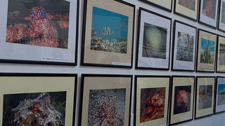 Otvorenje izložbe “Zagrljaj dubine” u Gradskoj loži, Foto: Leo Banić Otvorenje izložbe “Zagrljaj dubine” u Gradskoj loži, Foto: Leo Banić