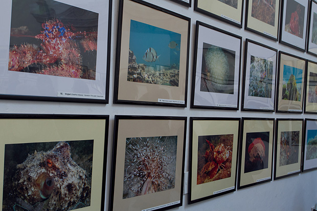 Otvorenje izložbe “Zagrljaj dubine” u Gradskoj loži, Foto: Leo Banić Otvorenje izložbe “Zagrljaj dubine” u Gradskoj loži, Foto: Leo Banić