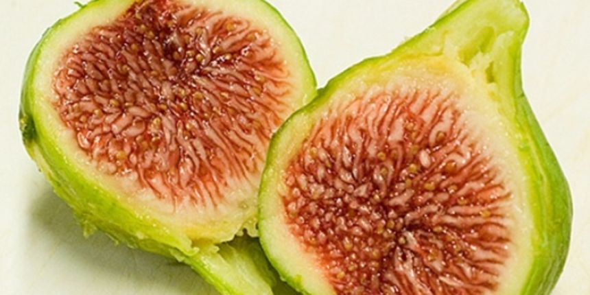 Smokve, foto: neznase.ba