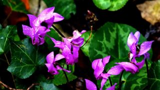 NP Plitvička jezera, listopad 2021.