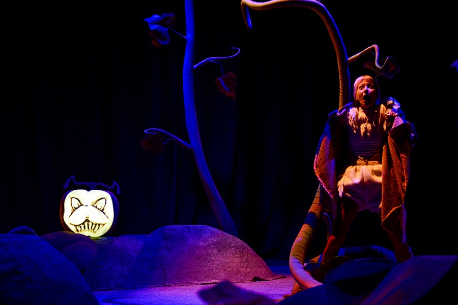 “Juha od bundeve” ; foto Iva Perinčić