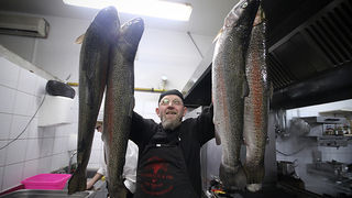 Dan pastrve u restoranu Kornat (foto:Saša Čuka)