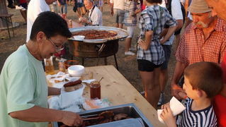 Polaca, utrke konja Oluja 95 Polaca, utrke konja Oluja 95