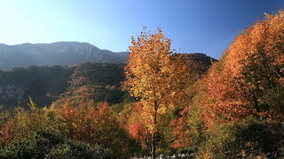 Paklenica: Boje jeseni, Foto: Mladen Radolovic Mrlja