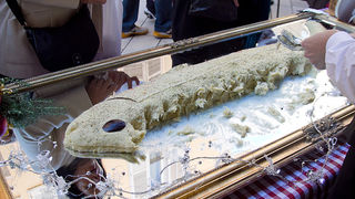 Bakalarijada na Kalelargi 22. prosinca 2012, Foto: Leo Banić Bakalarijada na Kalelargi 22. prosinca 2012, Foto: Leo Banić