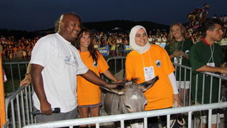 Image 1088993 (auto)