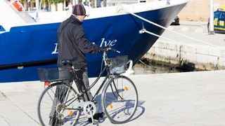 Đir po gradu 29. studenog 2016.