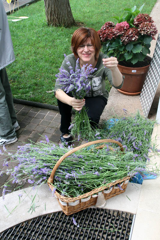 Danas je održana kreativna radionica za velike i male u organizaciji Dječjeg odjela Gradske knjižnice Zadar: izrada stručaka i jastučića od lavande od 10-12 h. Radionicu je vodila gospođa Jadranka Plantak. Foto by Lucija Juravic Danas je održana kreativna radionica za velike i male u organizaciji Dječjeg odjela Gradske knjižnice Zadar: izrada stručaka i jastučića od lavande od 10-12 h. Radionicu je vodila gospođa Jadranka Plantak. Foto by Lucija Juravic