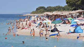 Guštanje na primoštenskim plažama. Photo: Hrvoje Jelavić/PIXSELL Guštanje na primoštenskim plažama. Photo: Hrvoje Jelavić/PIXSELL