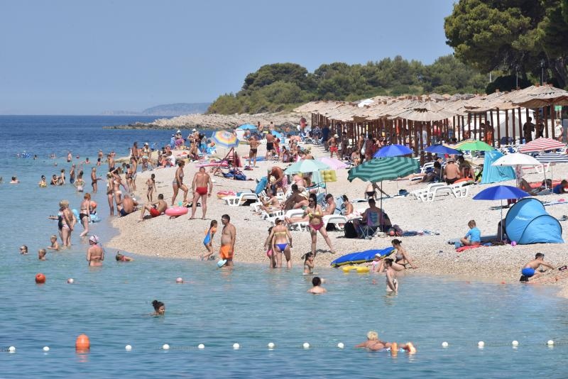 Guštanje na primoštenskim plažama. Photo: Hrvoje Jelavić/PIXSELL Guštanje na primoštenskim plažama. Photo: Hrvoje Jelavić/PIXSELL
