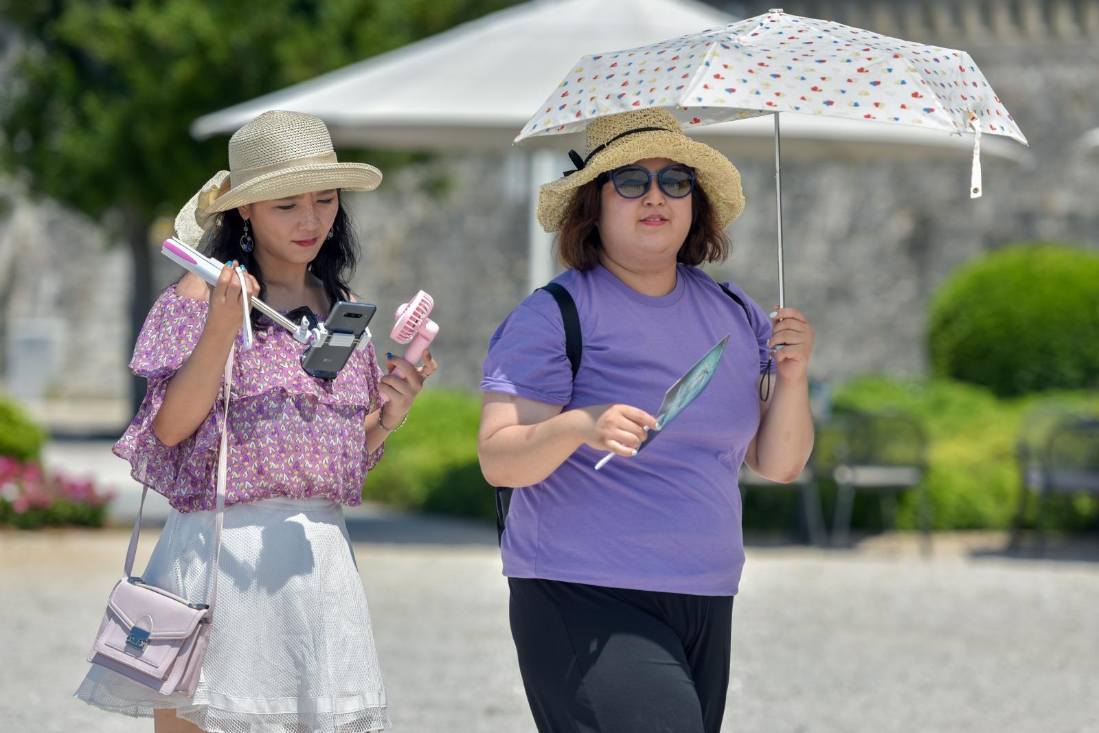 Podnevni đir po zadarskoj rivi 25. srpnja 2019.