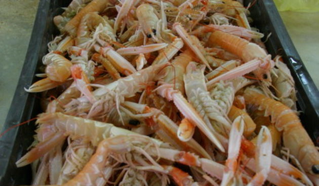 Image 1207655 (auto)