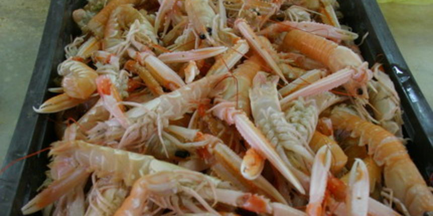 Image 1207655 (auto)