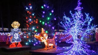 Dva milijuna lampica za božićnu čaroliju na imanju Salaj