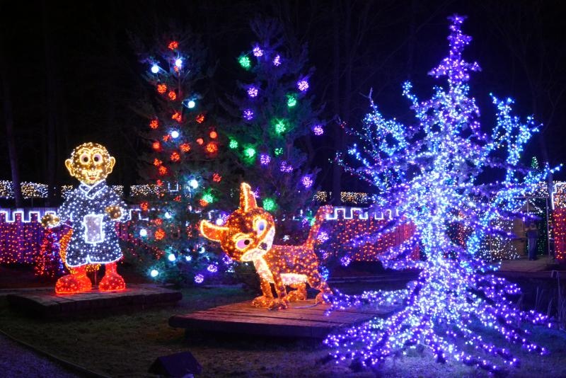 Dva milijuna lampica za božićnu čaroliju na imanju Salaj