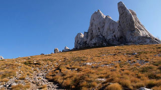 OLYMPUS DIGITAL CAMERA OLYMPUS DIGITAL CAMERA