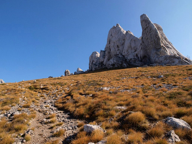 OLYMPUS DIGITAL CAMERA OLYMPUS DIGITAL CAMERA