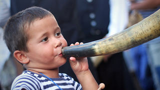 52. Saljske užance, 7. kolovoza 2011.(foto:Saša Čuka)