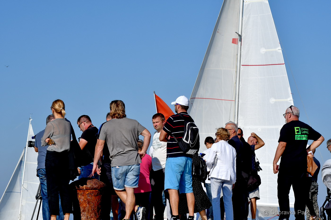 Sva lica “Zadarske koke” Sva lica “Zadarske koke”