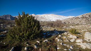 Đir do Libinja 9. travnja 2012. (foto:Saša Čuka) Đir do Libinja 9. travnja 2012. (foto:Saša Čuka)