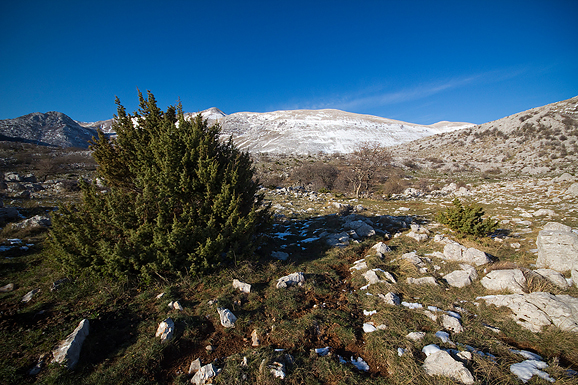 Đir do Libinja 9. travnja 2012. (foto:Saša Čuka) Đir do Libinja 9. travnja 2012. (foto:Saša Čuka)