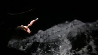 22.12.2013., Zadar – Neobicno toplo vrijeme za prve dane zime dodatni je poticaj za otisnuti se na more i uloviti koju lignju za Badnju vecer. Iako zbog oseke gotovo da nisu mogli isploviti, dva Privlacanca na nedjeljno poslijepodne udaljila su se od ob