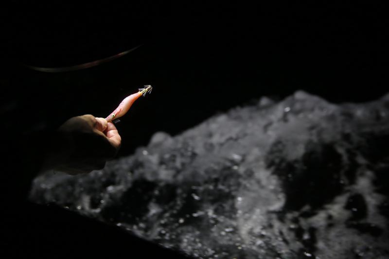 22.12.2013., Zadar – Neobicno toplo vrijeme za prve dane zime dodatni je poticaj za otisnuti se na more i uloviti koju lignju za Badnju vecer. Iako zbog oseke gotovo da nisu mogli isploviti, dva Privlacanca na nedjeljno poslijepodne udaljila su se od ob