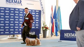 Međunarodna izložba pasa CACIB 2023