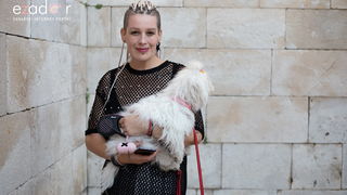 Veličanstven doček četvorice zadarskih Vatrenih Veličanstven doček četvorice zadarskih Vatrenih