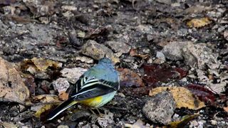 NP Plitvička jezera, listopad 2021.