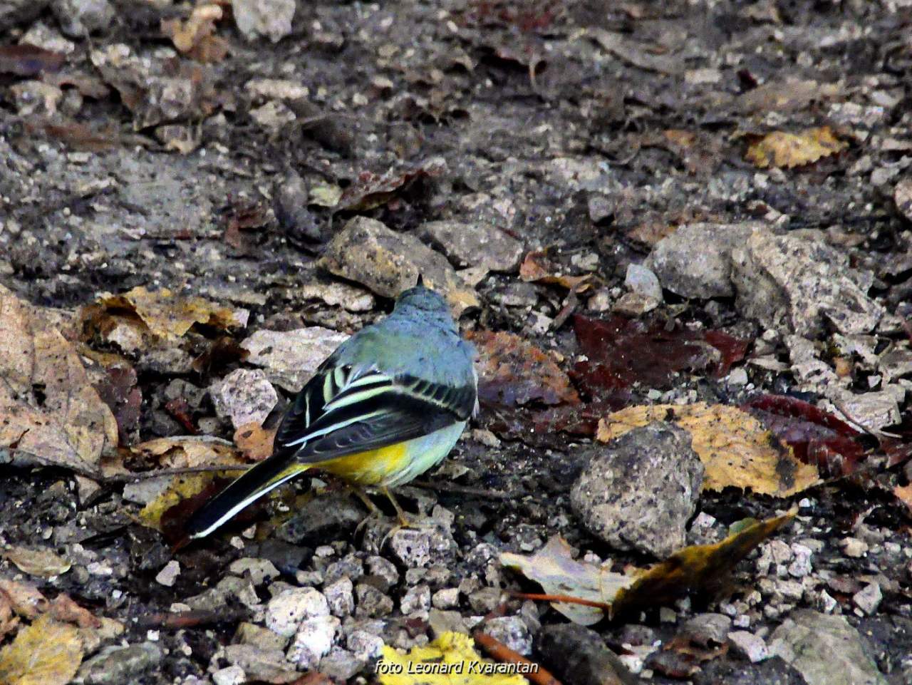 NP Plitvička jezera, listopad 2021.