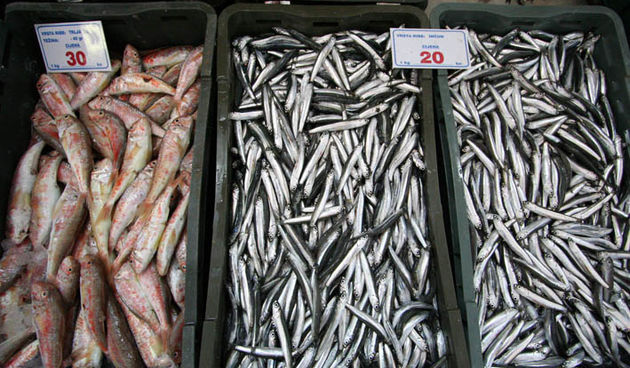 Image 1173437 (auto)