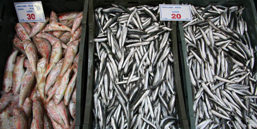 Image 1173437 (auto) Image 1173437 (auto)