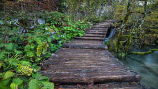 Boje jeseni na Plitvičkim jezerima